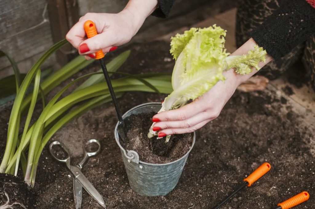 Técnica de Compostagem Caseira que Transformará Sua Horta em um Paraíso Verde!