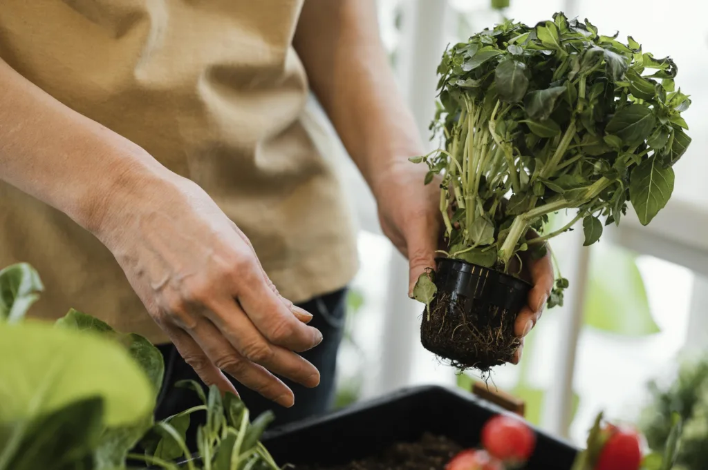 Horta Vertical em Apartamentos? Veja Como Criar Seu Oásis Verde em Espaços Pequenos! Horta Vertical em Apartamentos? Veja Como Criar Seu Oásis Verde em Espaços Pequenos!